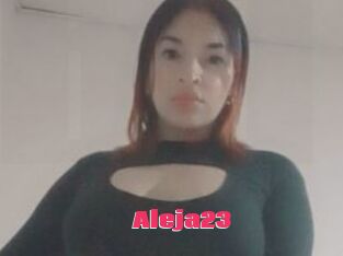 Aleja23