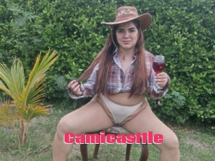 Camicasttle