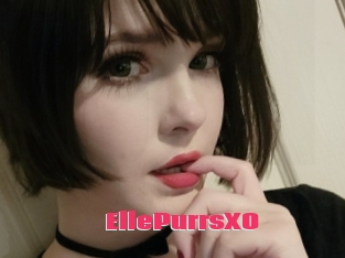 EllePurrsXO