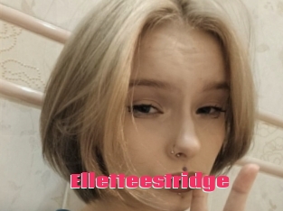 Elletteestridge