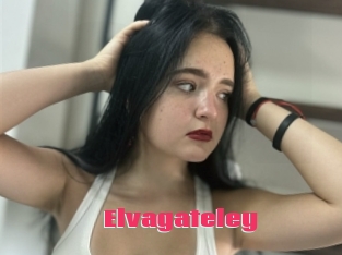 Elvagateley