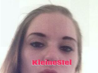 KleineStel