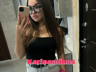 Karinamikus