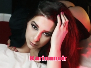 Karinanoir