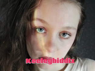 Keeleybiddix