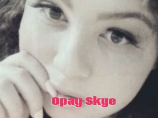 Opay_Skye