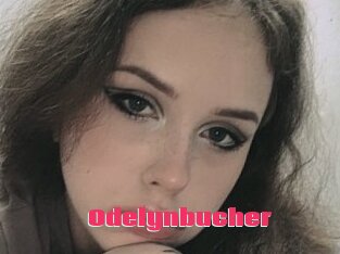 Odelynbucher