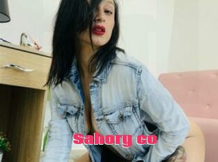 Sahory_co