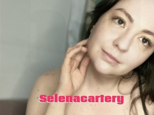 Selenacartery